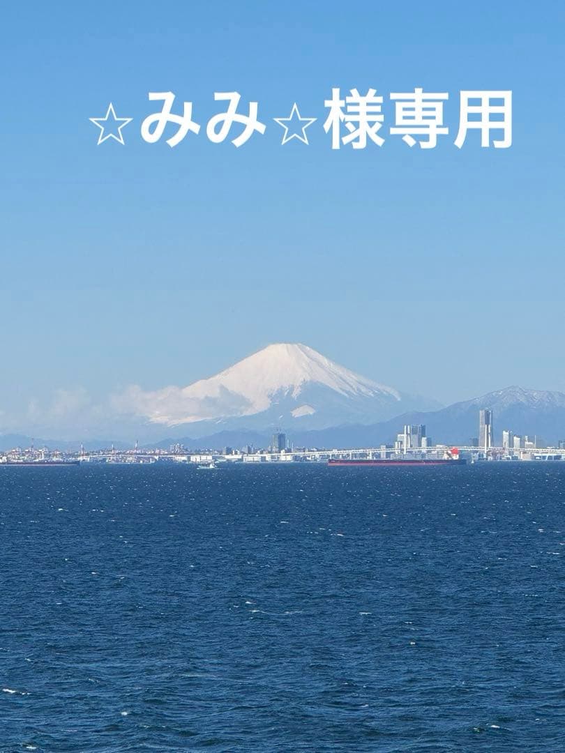 糖鎖 (生ゼリー) ×2【新品】