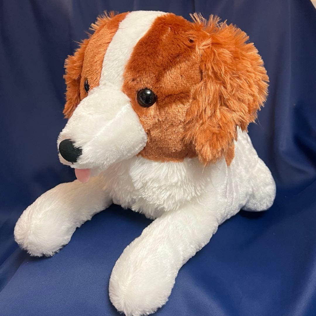 コーイケルホンディエのおでこちゃん デコピン ぬいぐるみ 新品 大谷