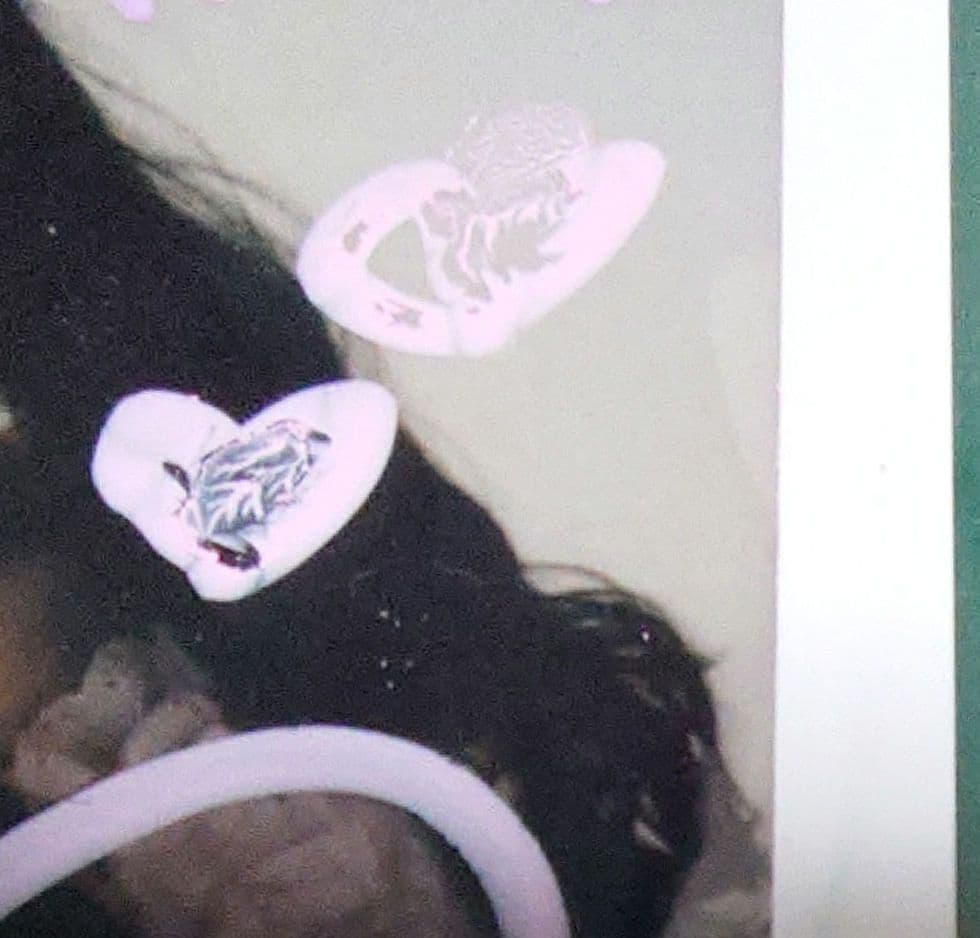 LOVE イコラブ 齋藤樹愛羅 チェキ - メルカリ