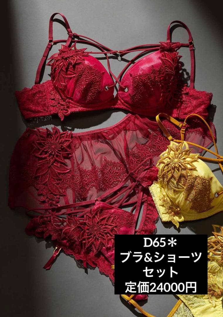 ランジェリアム＊ブラD65ショーツS