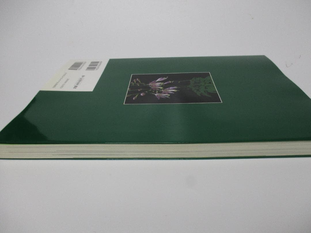 ギボウシ図鑑 - メルカリ