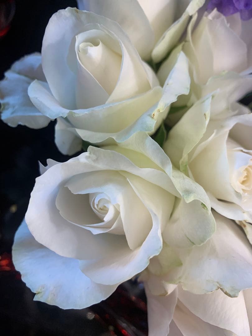 ゆゆ様御専用　エルメス ブロックメモ 藤巻佐有梨 ブロックメモ 休日、昼下がり