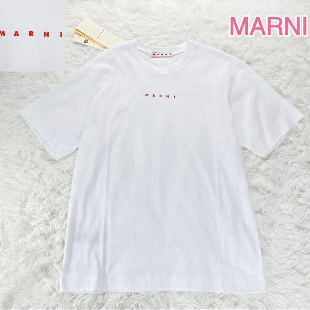 新品タグ付✨ 大人もOK！マルニ　キッズTシャツ　12Y 150 白 25SS MARNI（マルニ） Tシャツ MARNI KIDS マルニキッズ 大人も着用可能