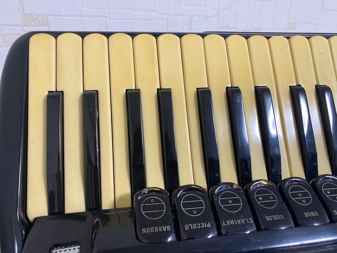 激レア Settimio Soprani セッティミオソプラーニ アコーディオン