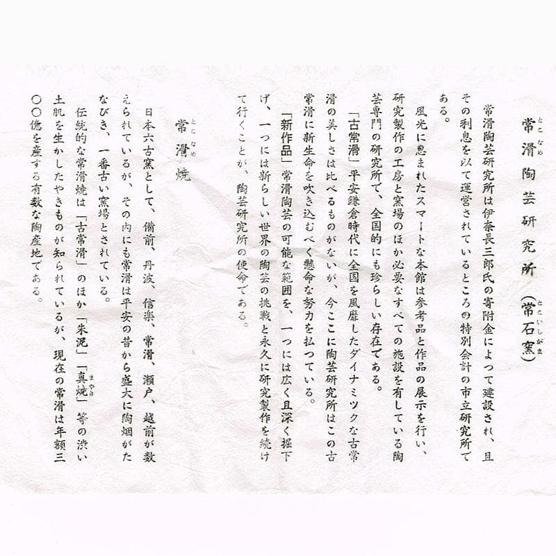 常滑焼 常石窯 中村勝明作 絵唐津写 草文 深向付 五