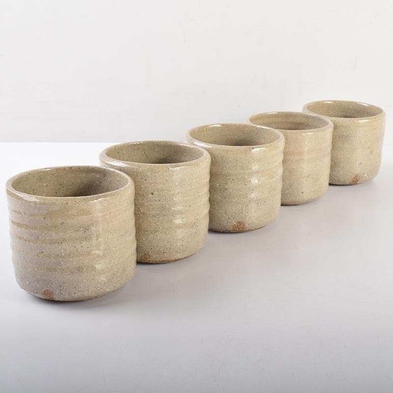 常滑焼 常石窯 中村勝明作 絵唐津写 草文 深向付 五