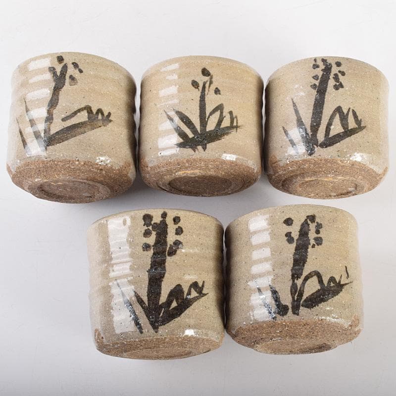 常滑焼 常石窯 中村勝明作 絵唐津写 草文 深向付 五