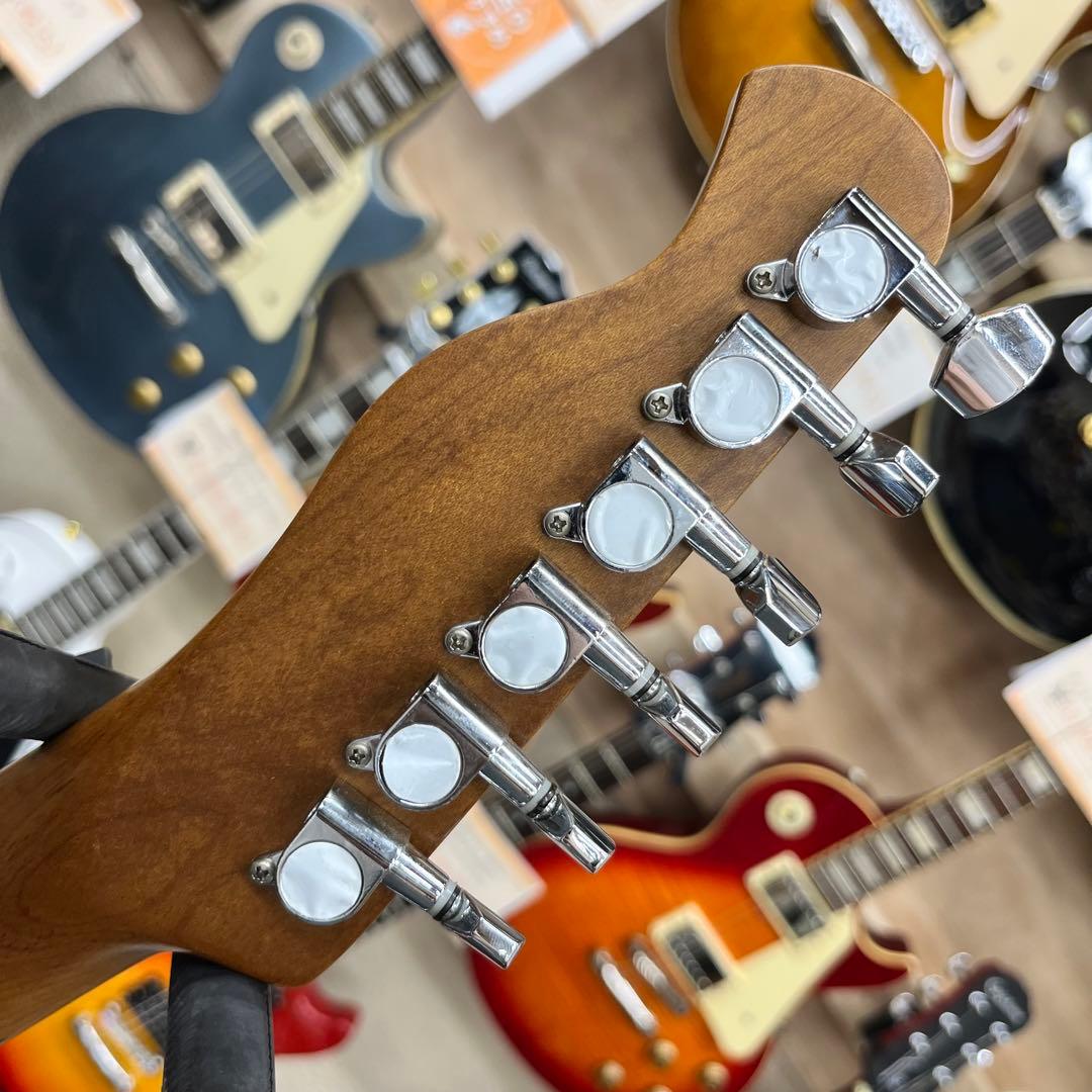 ソフトケース追加、直接引き取り11294】Bacchus BTE-2-RSM - メルカリ