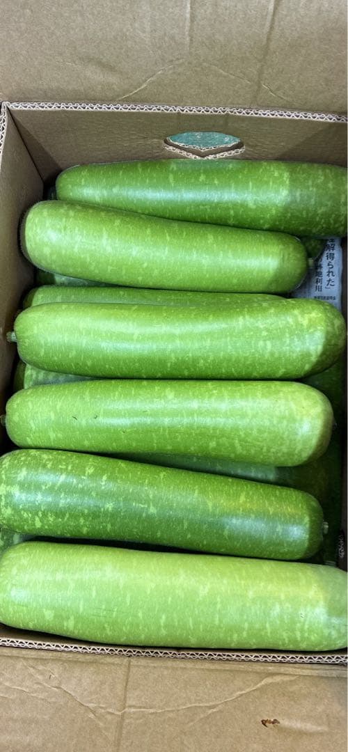 新鮮なユウガオ20キロ(1個0.8~1.6キロ)