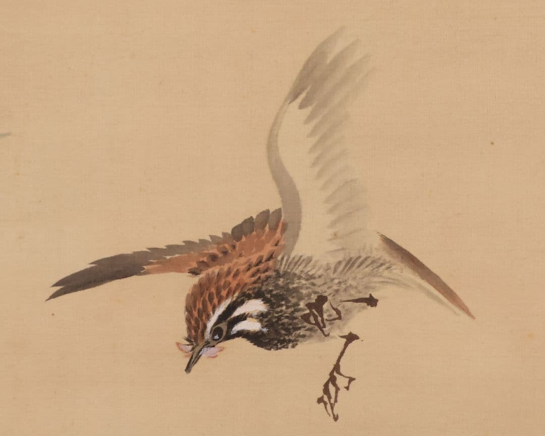 模写】日本画 益田楳岳 花鳥 雀 草花 絹本 掛軸 MB160 - メルカリ