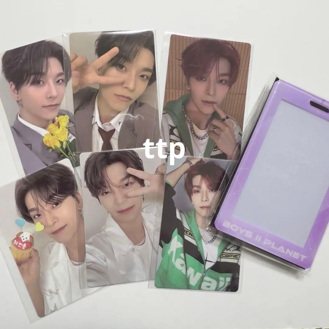 シンロン ホーシンロン トレカ アーカイブ展 ボイプラ展 ALD1 ホルダー