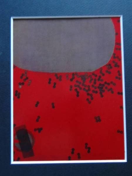 伊藤　久三郎、作品773-A、額装用画集より、新品額装付、状態良好