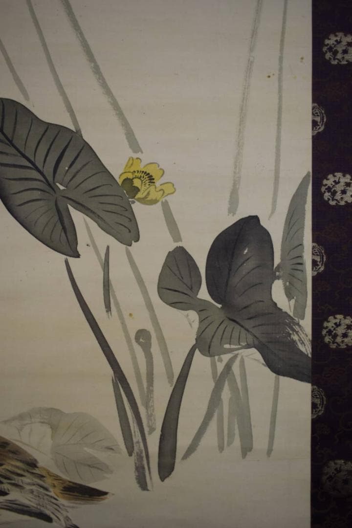 真作/川端玉章/河骨水禽図/河骨水鳥図/絹表装/布袋屋掛軸