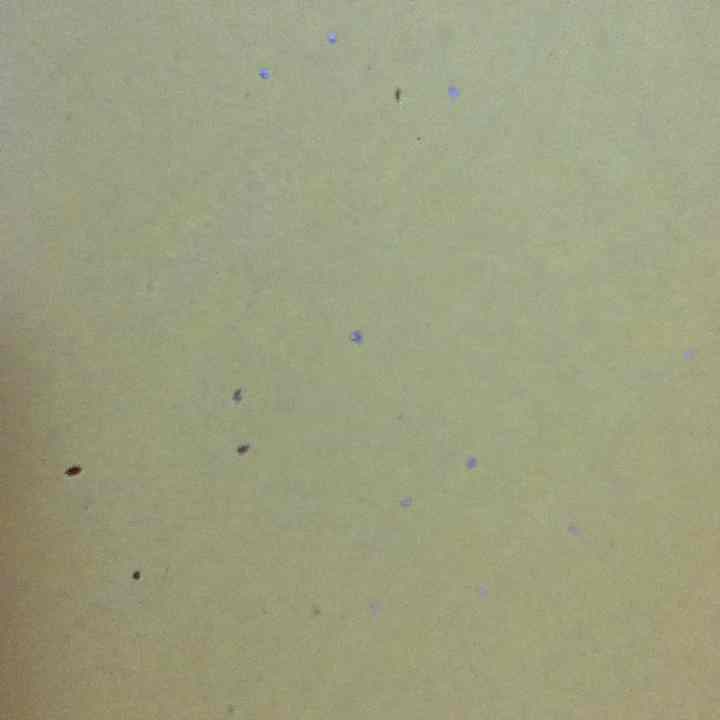 パスカル様確認用 アクティベーションコードの詳細（有効期限, 利用可能製品 など）を