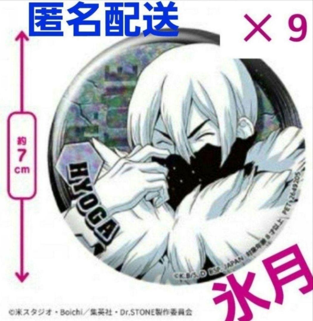 Dr.STONE ドクターストーン ドクスト 氷月 缶バッジ グッズ まとめ売り