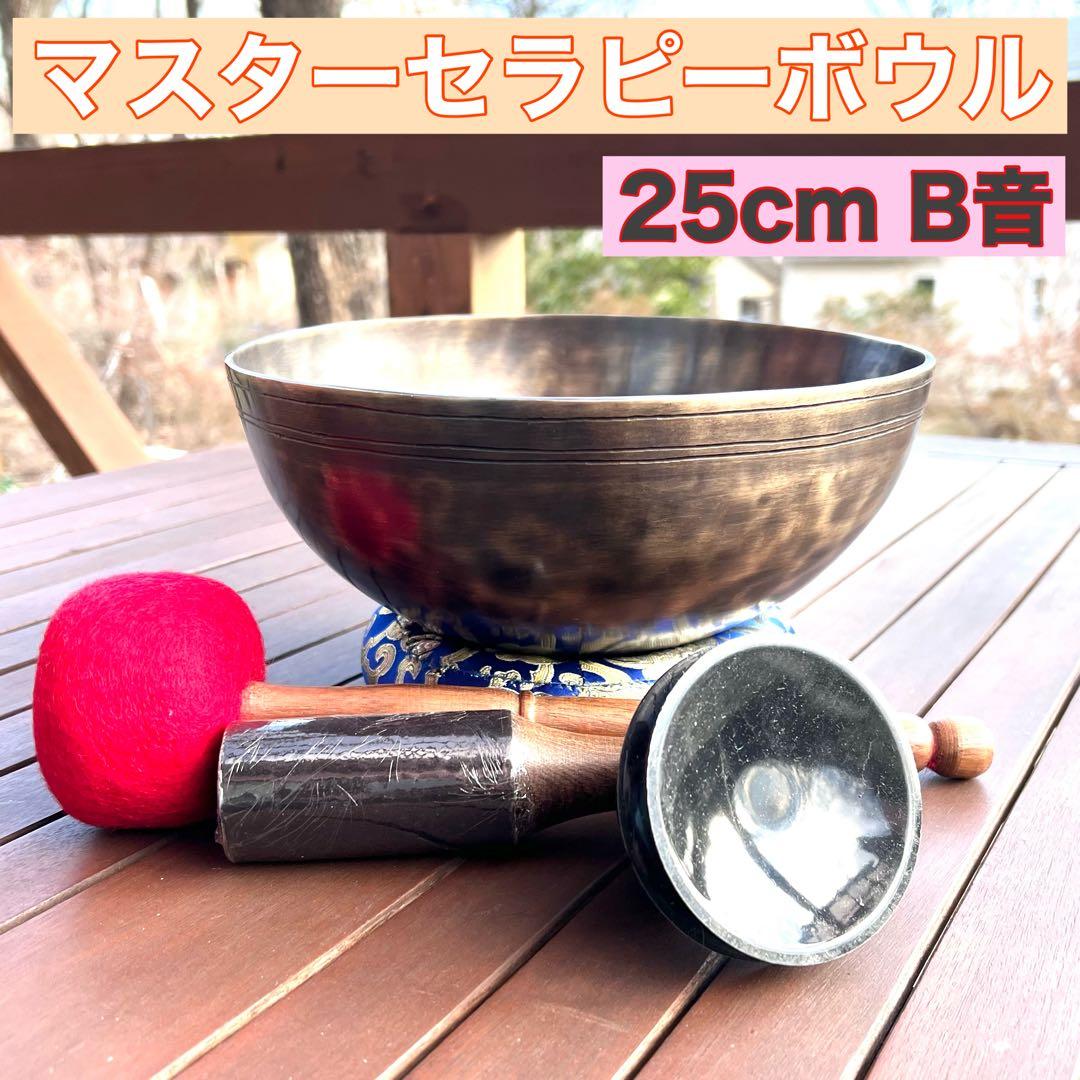 マスターセラピーボウル 25cm B音 シンギングボウル