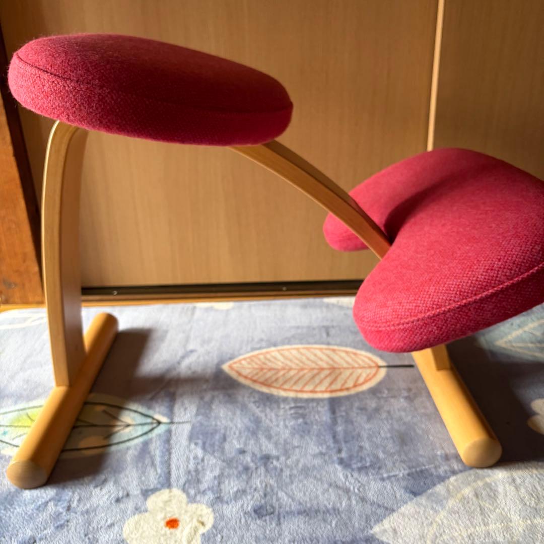 Rybo リボ バランスイージー バランスチェア 通常フレーム カバー付き