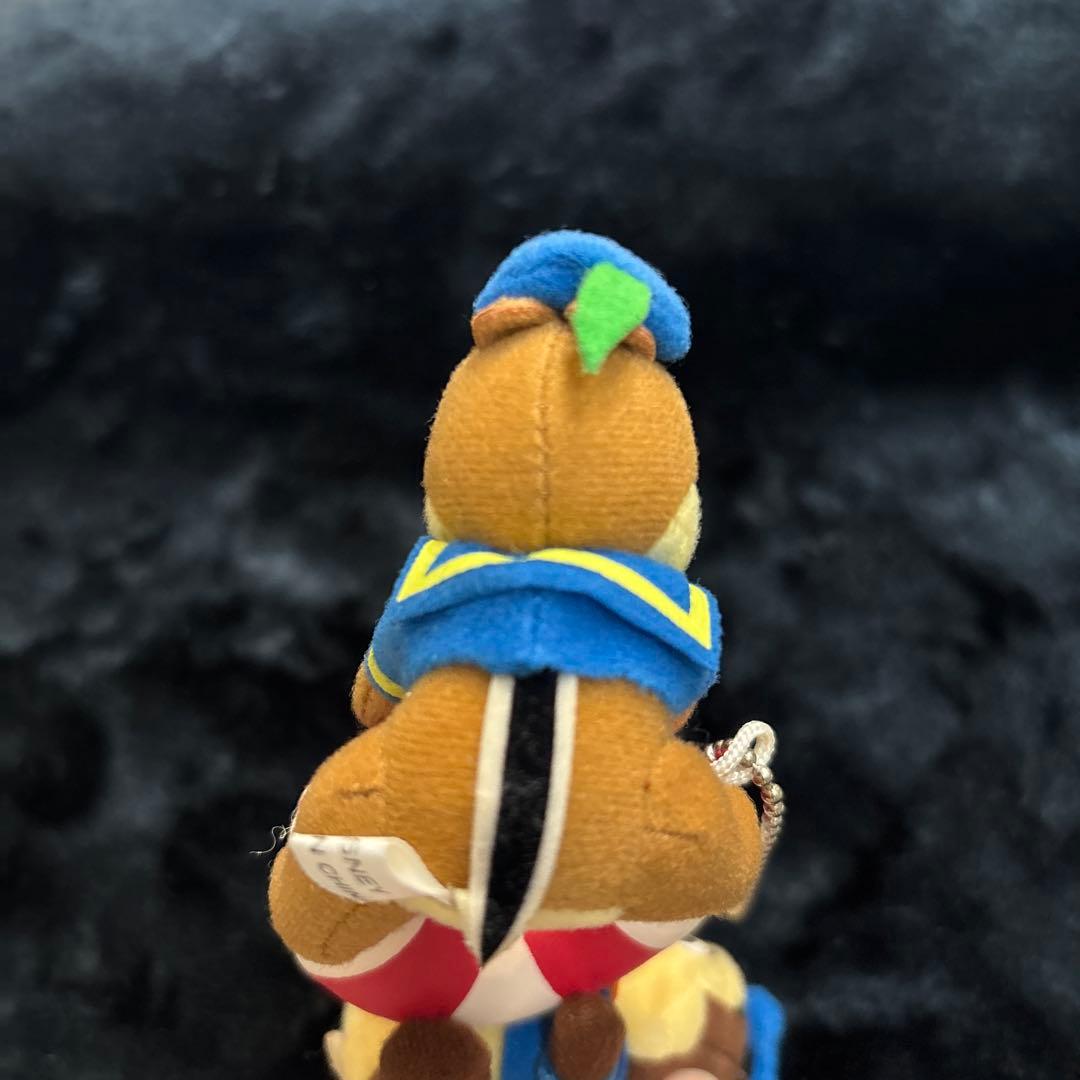 ディズニーストア チップとデール ドナルドコスチューム 浮き輪