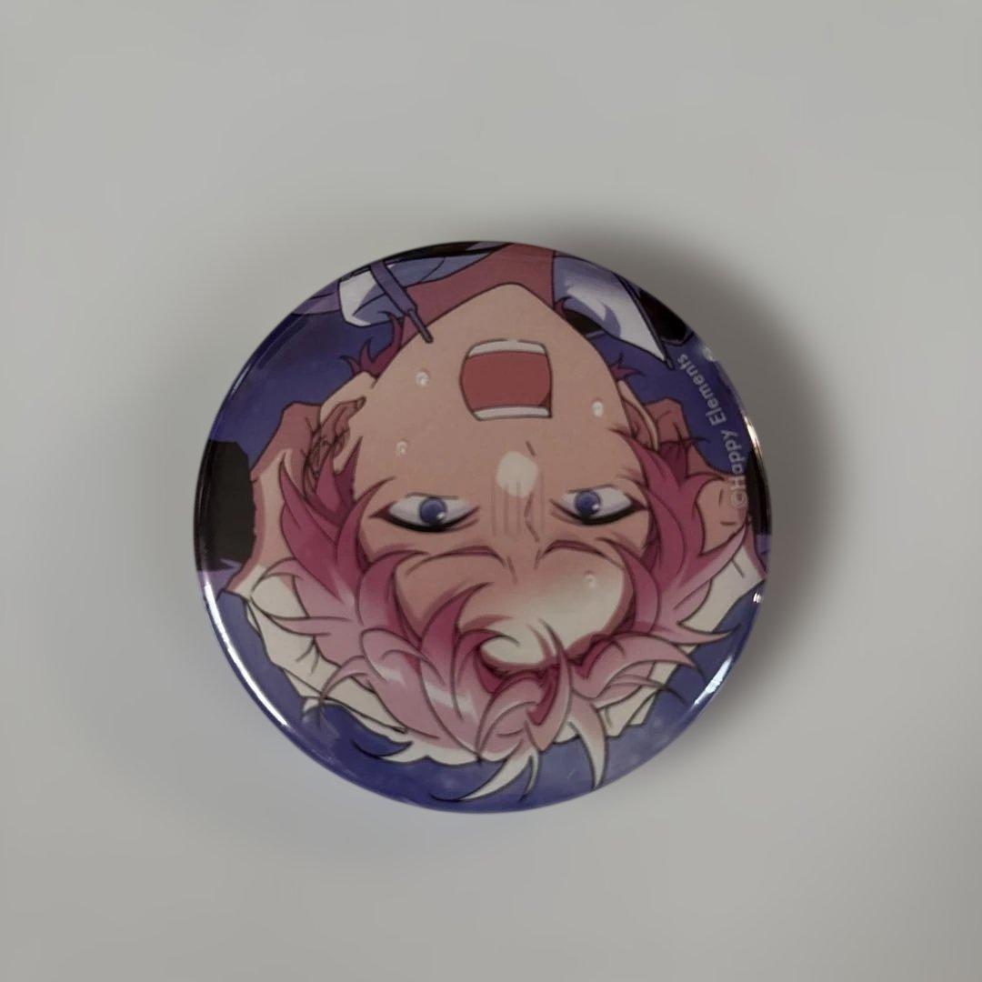 あんスタ コレクション缶バッジ10点セット 斎宮宗 CASUAL IDOL - メルカリ