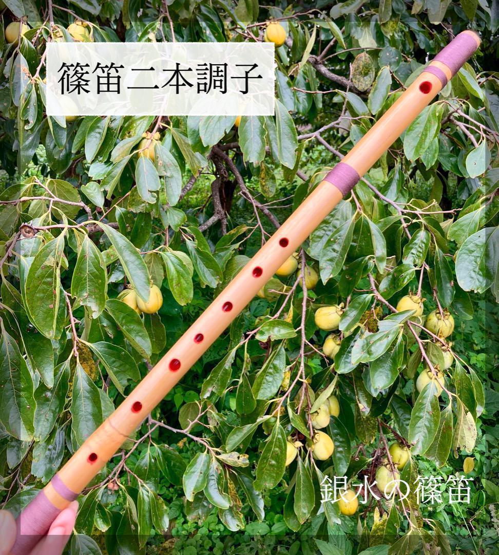 二本調子 F#管　唄物　ドレミ調　天地糸巻　MR2-8 西洋音階　竹笛