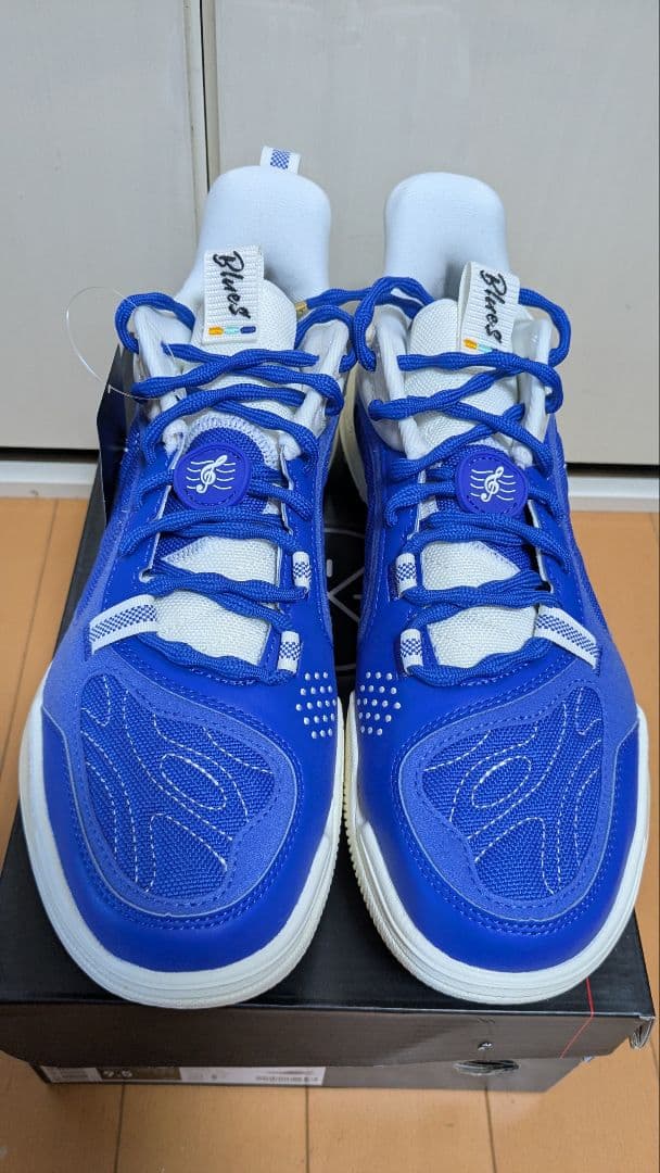 Wade Ice Blood 2 V2 サイズUS9.5 アイスブラッド2 V2