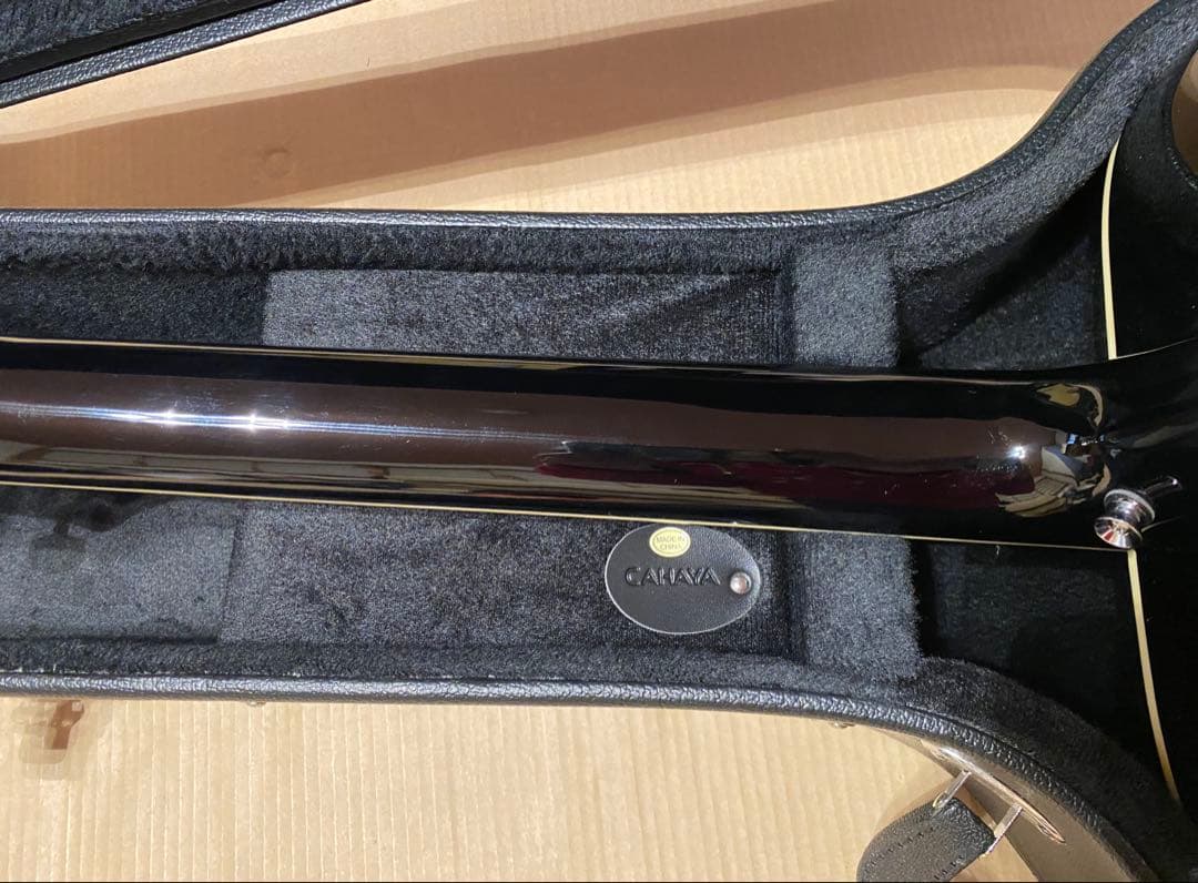 Epiphone DR-100 EB エボニー ハードケース付