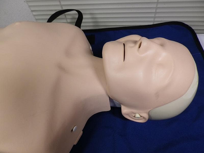 レールダル・リトルアン（成人）心肺蘇生 CPR トレーニング マネキン