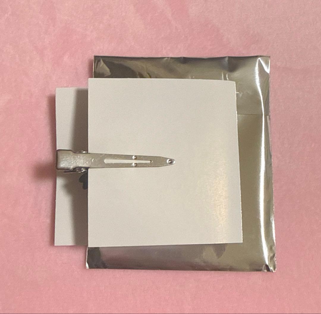 あいみょん 参戦 ヘアクリップ ライブ ドルフィンアパート - メルカリ