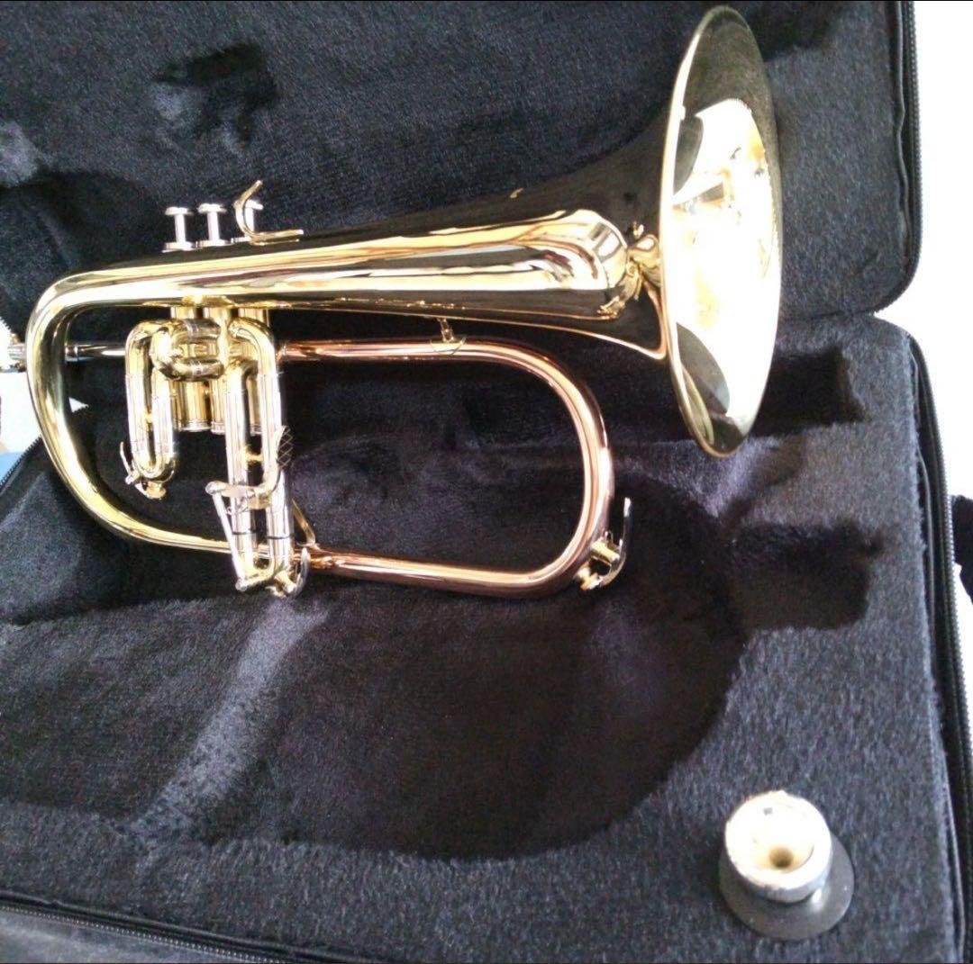 フリューゲルホーン PLAYTEC 美品 Amazon | 【国内正規品】 PLAYTECH プレイテック フリューゲルホルン