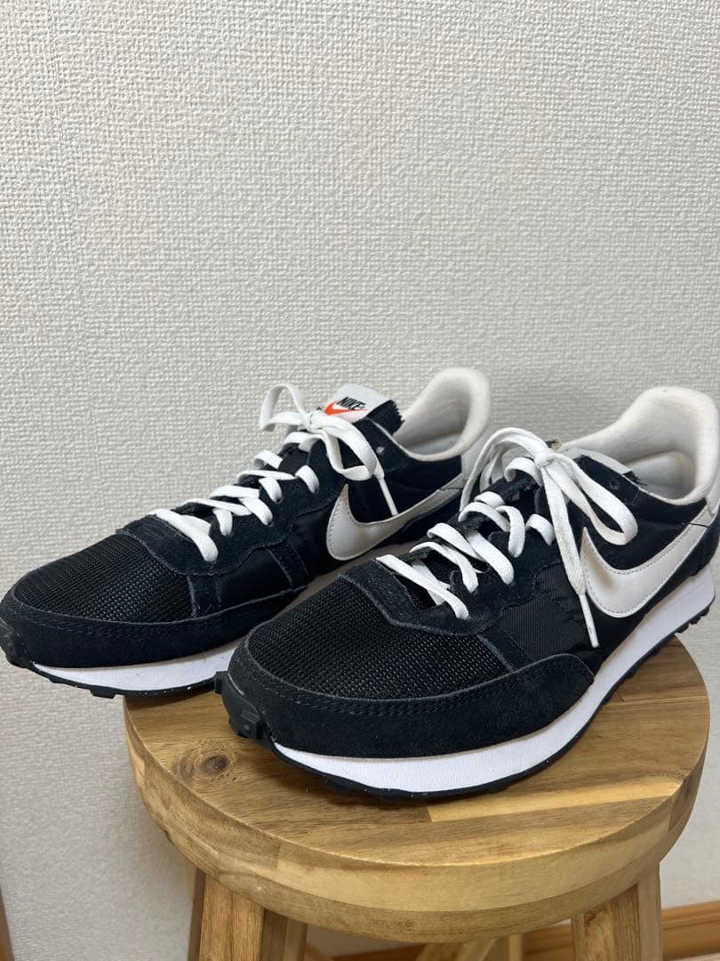 NIKE チャレンジャー OG 28.5 US10.5
