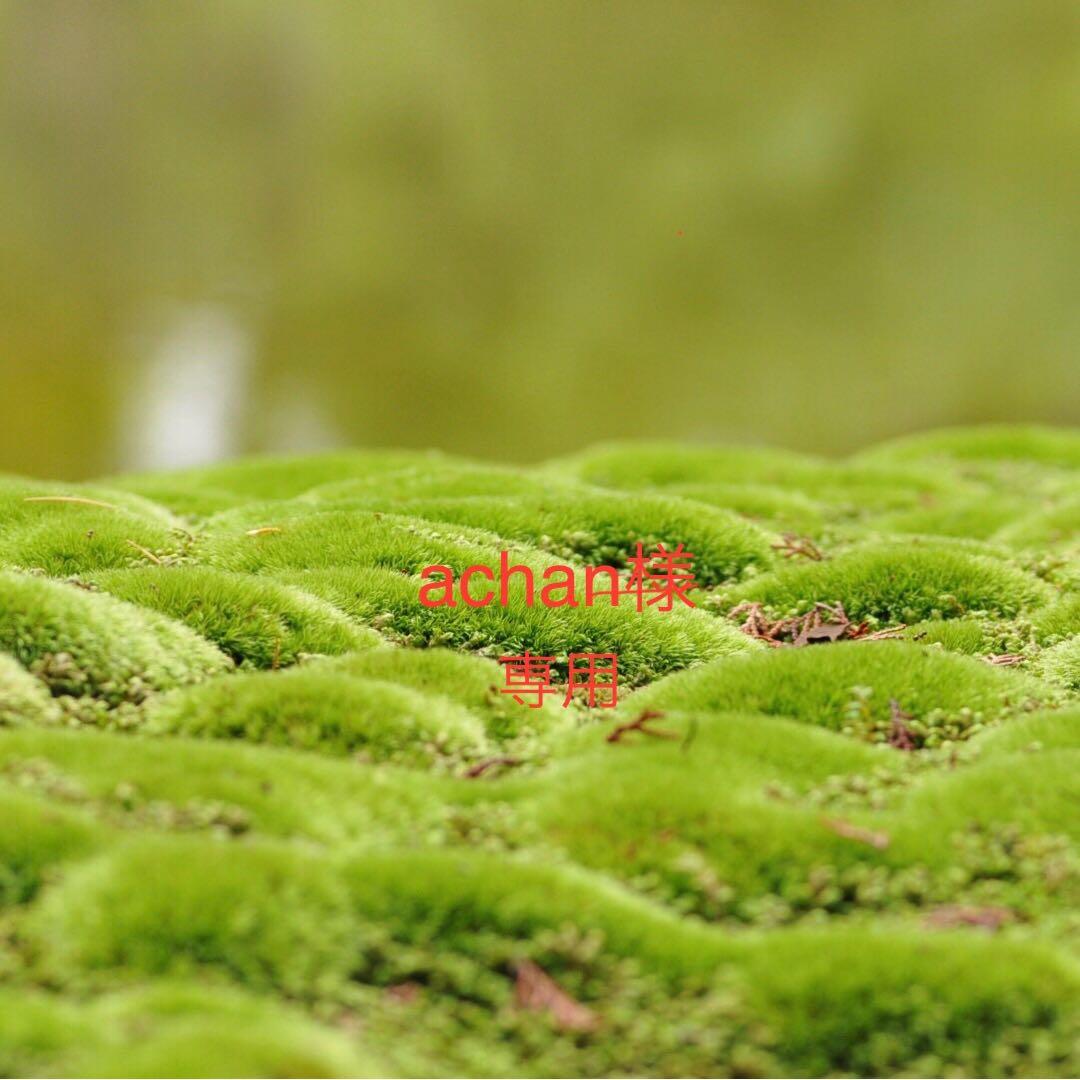 鬼滅の刃 童磨　Webshopくじ　A、B、C、D賞アクリルパネル