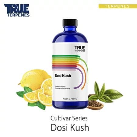 TRUE テルペン 510 CBD CBN CBG 10ml ドシクッシュ