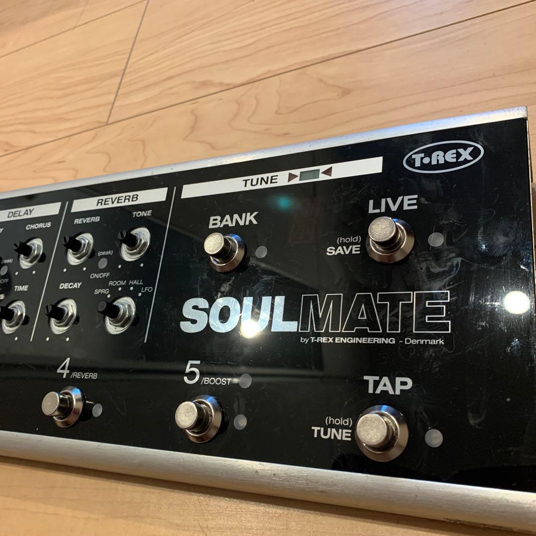 T-REX SOULMATE [訳あり]