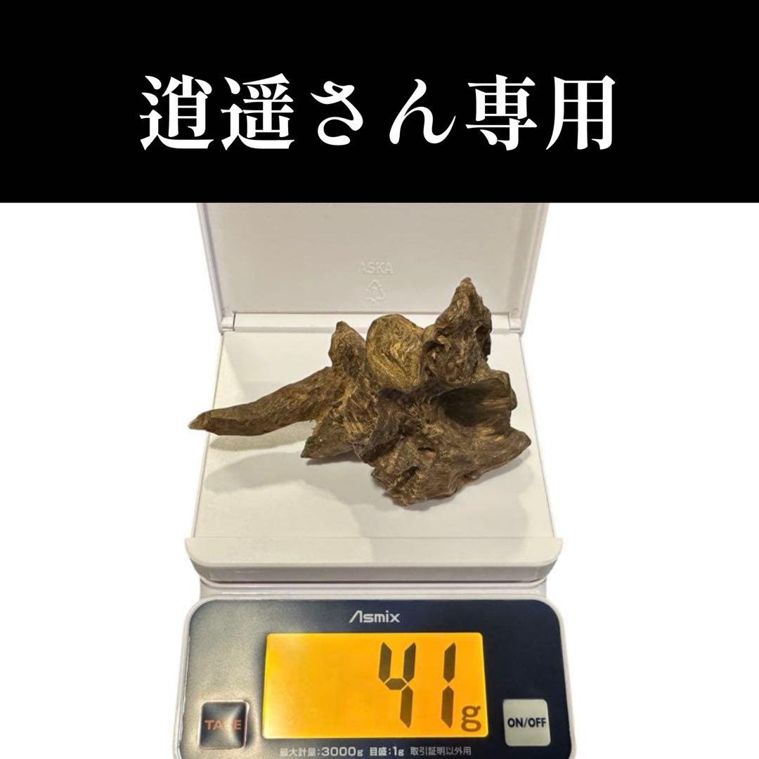 沈香　香木　インドネシア産