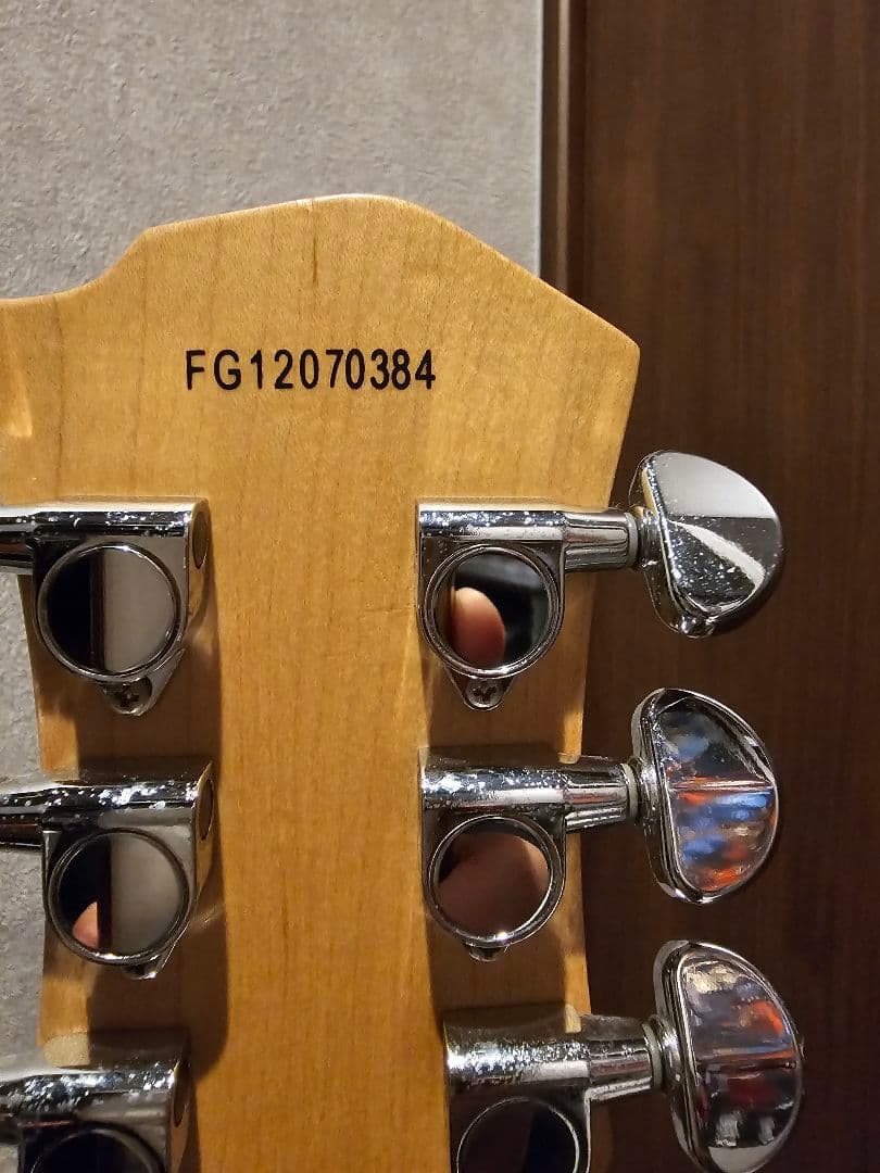 FERNANDES hideモデル ミニ ギター 薔薇髑髏 SKULL ROSE - メルカリ