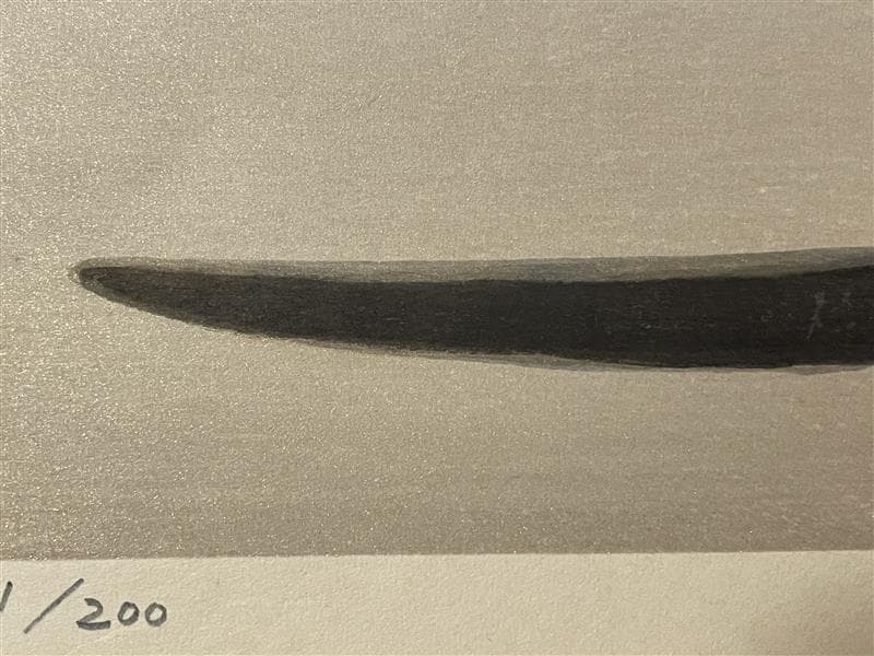 真作」奥村土牛「シャム猫」木版画 131/200 サイン有り - メルカリ