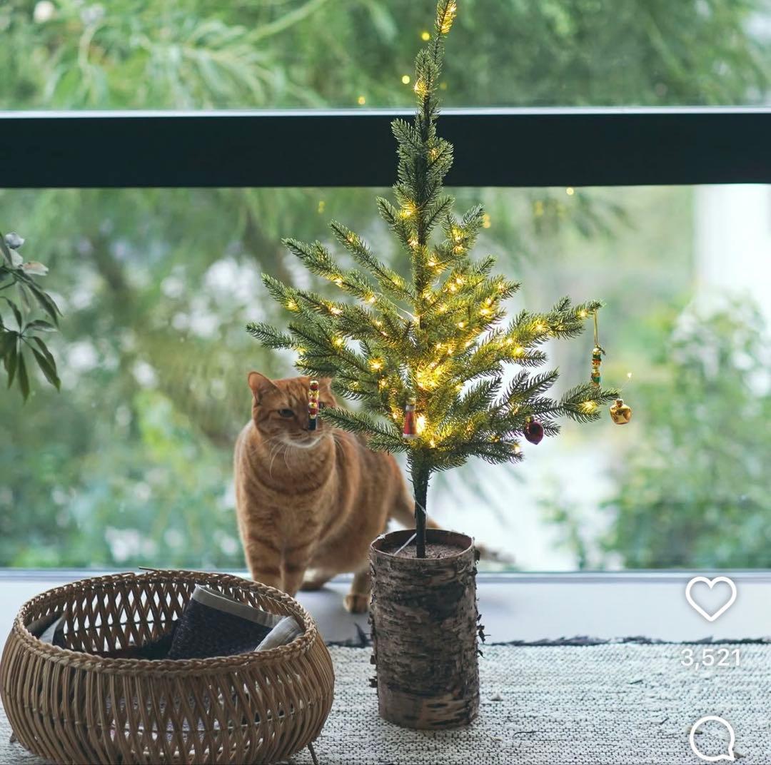 Ornedefeuilles クリスマスツリー