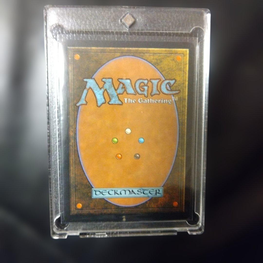 大地の知識 エンチャントカード MTG 日本語版 - メルカリ