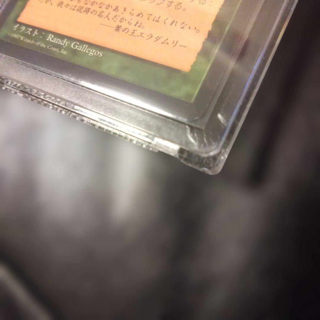 大地の知識 エンチャントカード MTG 日本語版 - メルカリ