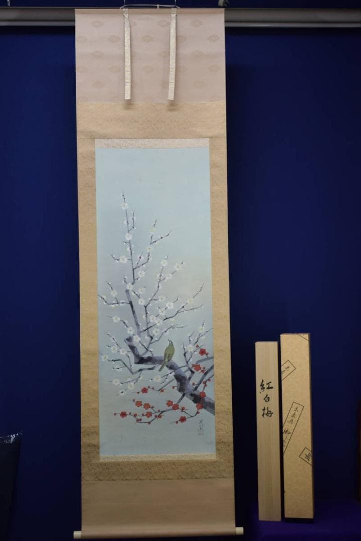 真作/新山晃司/紅白梅鴬図/桐共箱二重箱付/布袋屋