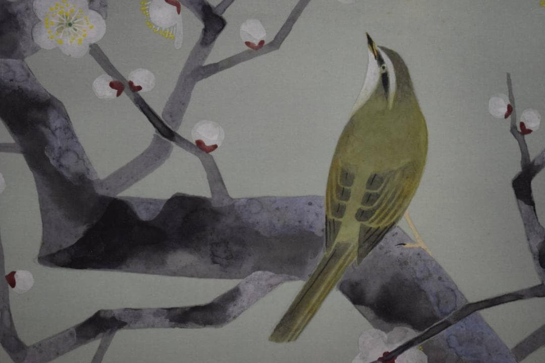 真作/新山晃司/紅白梅鴬図/桐共箱二重箱付/布袋屋