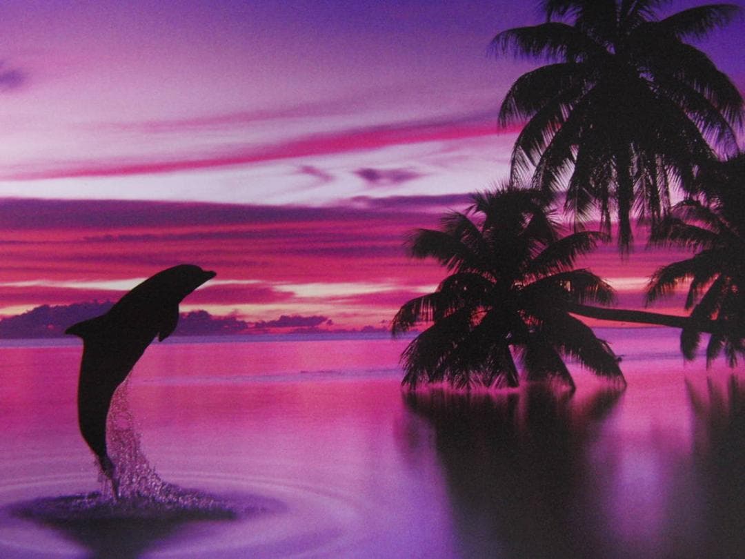 クリスチャン・ラッセン、【サイレント イリュージョン】、希少な額装