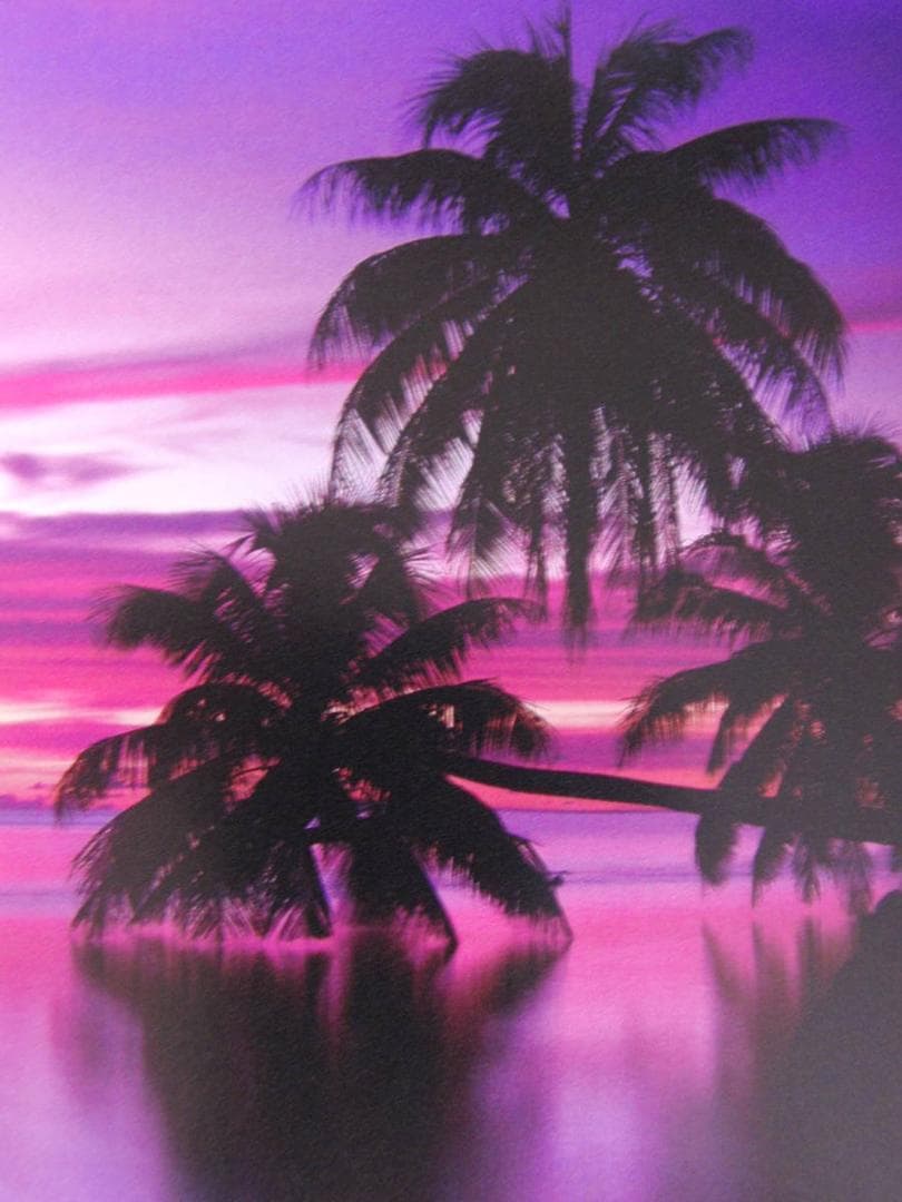 クリスチャン・ラッセン、【サイレント イリュージョン】、希少な額装