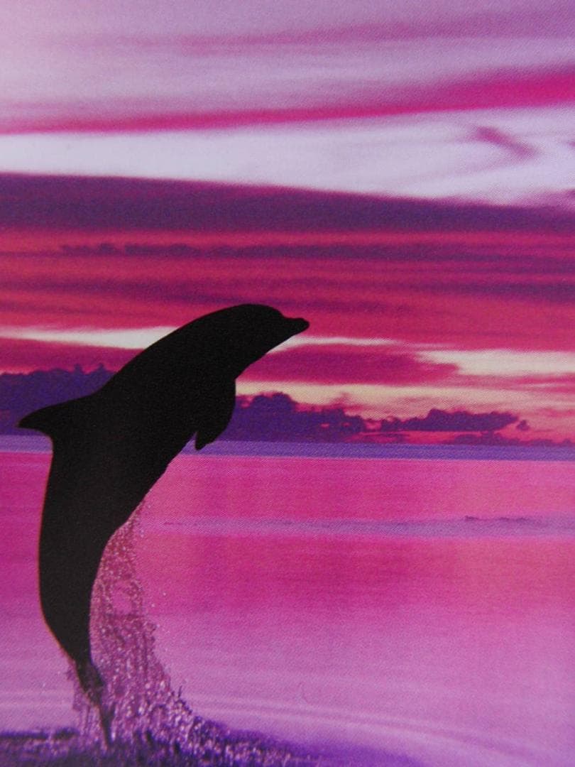 クリスチャン・ラッセン、【サイレント イリュージョン】、希少な額装