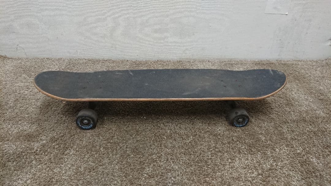 CARVER VENICE スケートボード - メルカリ