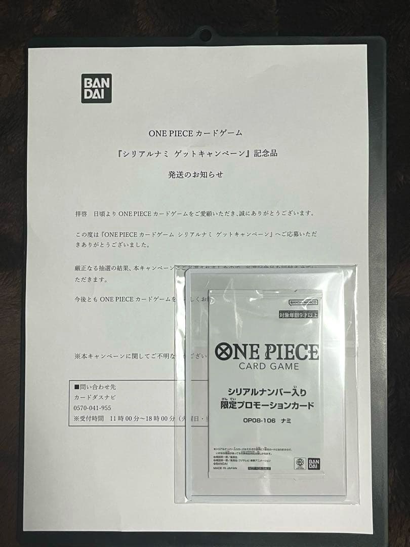 【未開封】シリアル ナミ 1200枚限定 エッグヘッド プロモ 通知書つき