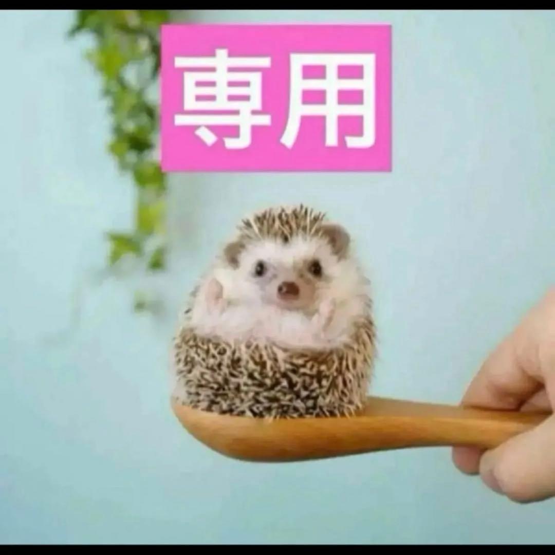 2点、ニュイ、アンテグラール