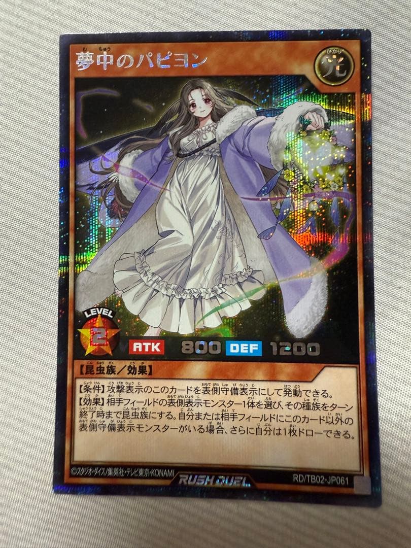 夢中のパピヨン シークレット