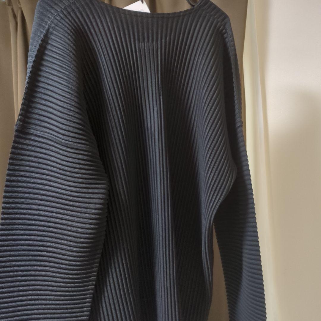 25ssオムプリッセイッセイミヤケ monthly color february