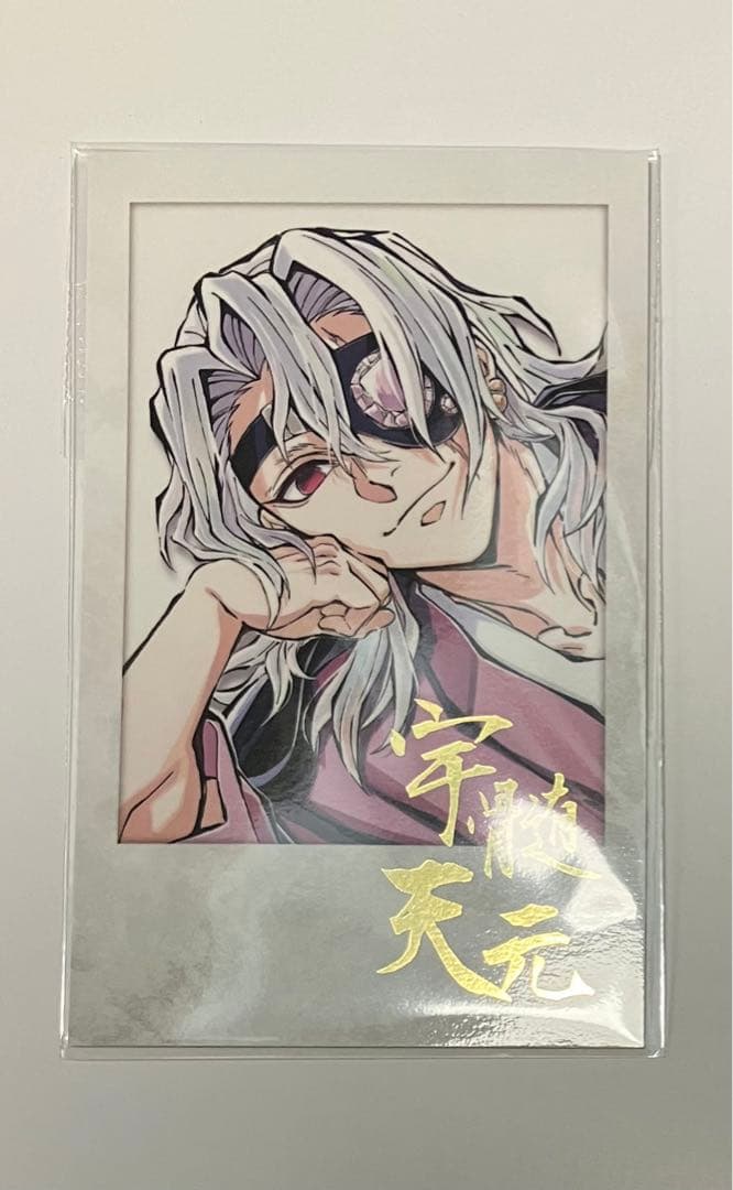 鬼滅の刃 宇髄天元 寝そべりグッズ 5点 - メルカリ